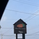 호텔당근 | 경주숙소 바다뷰 스파 호텔룸 202호 내돈내산 솔직후기 당근료칸풀빌라