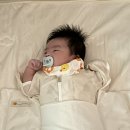 엄마손 손세탁 | 태열과 모로반사 한방에 잡아준 머미쿨쿨 이지스와들 사용 후기~!