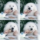 와구와구 이미지