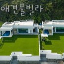 쉬오트애견풀빌라 이미지