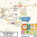 중앙초등학교(병설포함) 이미지