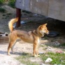 계룡모터스 이미지