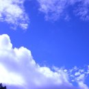 푸르른날 이미지