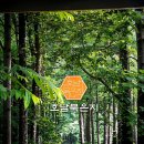 컴퓨터 완전정복 | 드디어 발견한 인생 묵은지! 양평닭볶음탕 맛집 완전 정복 후기