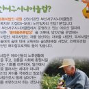 부산서구시니어클럽 콩마을푸른밥상 이미지