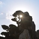 영덕상사