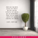 - 사랑에 답함 - 나태주 이미지