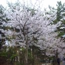 삼밭골 이미지