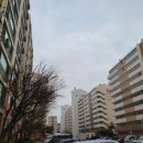 원앙부영아파트 파리바게뜨 앞 네이버블로그