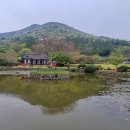 진도 운림산방 Daum카페