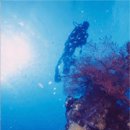 인구 리조트 이미지