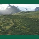 재활나라 이미지