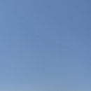 황매산 벚꽃길 | 2026 경남 합천 철쭉(황매산군립공원)&amp;작약(핫들생태...합천백리벚꽃길 드라이브 후기 및 옛새미농원의...