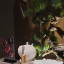 열무네5.5 이미지