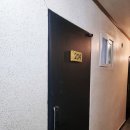 서프 양양 초보자가 서핑하기 좋은 인구해변 바로 앞 게스트하우스부터 강습까지 해결하는 방법 알려드려요