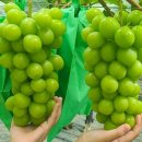 샤인펜션 이미지