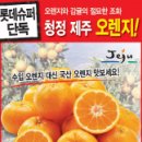 오렌지 이미지