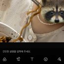 보연족발 | 블로기 제목을 지어주세요…