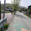 화정천1 | 안산 화정천 13km, 에브리바이크 1일 이용 후기