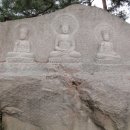 백화사
