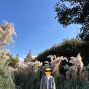 성지연꽃길 | [태안/안면도]막 찍어도 인생샷 청산수목원 후기