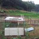 염소우리 이미지