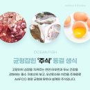 오션 캣 네이버블로그