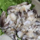 남당항횟집 &#39;순희네수산&#39; 만족 후기