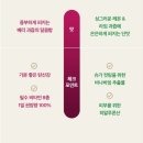 [히트워터/에너지드링크/운동전음료] 4번째 구매한 내돈내산 솔직 후기!