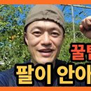 지키미약초