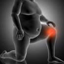 인터케어 이미지