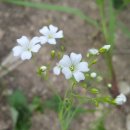 우천농장 이미지