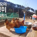 함양농협미곡종합처리장 이미지