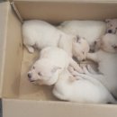 십년농장 이미지