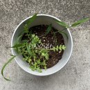 원호상사 이미지