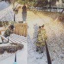 미사마이펫동물병원 이미지