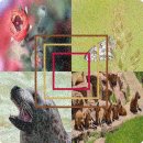 해국무역 이미지