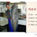메로 이미지
