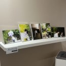 뽑아봐유 | 명동 사진관 스냅 증명 프로필 여권 사진 개성을 자연스럽게 담아주는 고민사진관 충무로점
