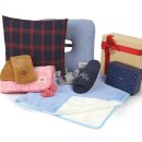 모닝글로리 이미지