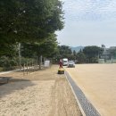 대일초등학교 이미지