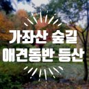 연암공업대학 | 진주 가볼만한곳 추천 애견동반 등산 가능한 가좌산 숲길