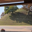 1387 | [경주 노동동, 핸드드립이 유명한 봉황대뷰 힙한핫플카페] 커피플레이스