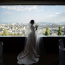 서울미라마(유)그랜드하얏트서울 | 기준 총정리] 그랜드하얏트 서울 그랜드볼룸홀 계약 이유와 혜택. 야외/호텔예식 비교 장단점, 솔직 후기