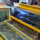 정평수산 이미지