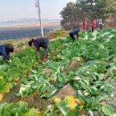 삼기면행정복지센터 이미지