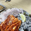 송백로-1 이미지