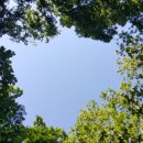 옥천 약수터 이미지