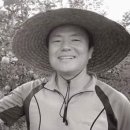 미선농장 2 이미지