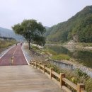 뿌리공원 이미지